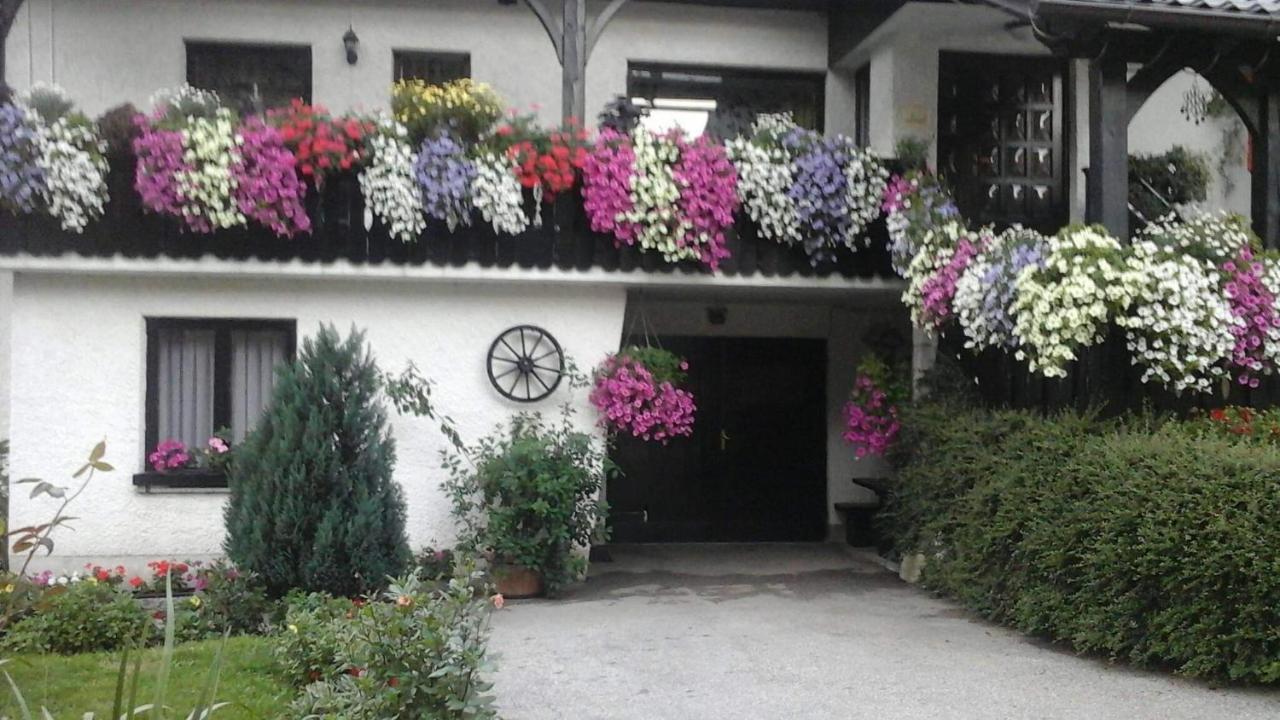 Sobe Tanja Appartement Podbrdo